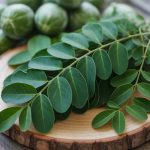 Les bienfaits du moringa : super-aliment pour l’énergie et les défenses naturelles