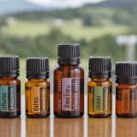 Les 10 huiles essentielles de l'aromathérapie au quotidien : un coffret de base pour la maison