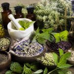 Noms liste des plantes medicinales avec photos : guide des plantes et de leurs usages naturels