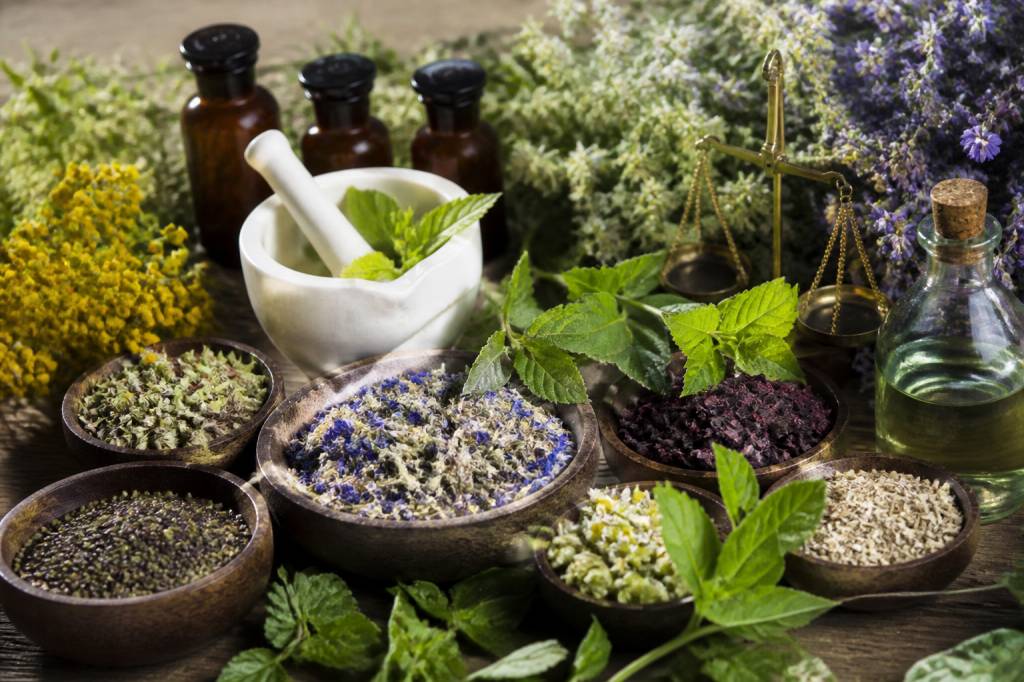 Noms liste des plantes medicinales avec photos : guide des plantes et de leurs usages naturels