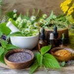 Plantes santé : bienfaits, usages et remèdes naturels