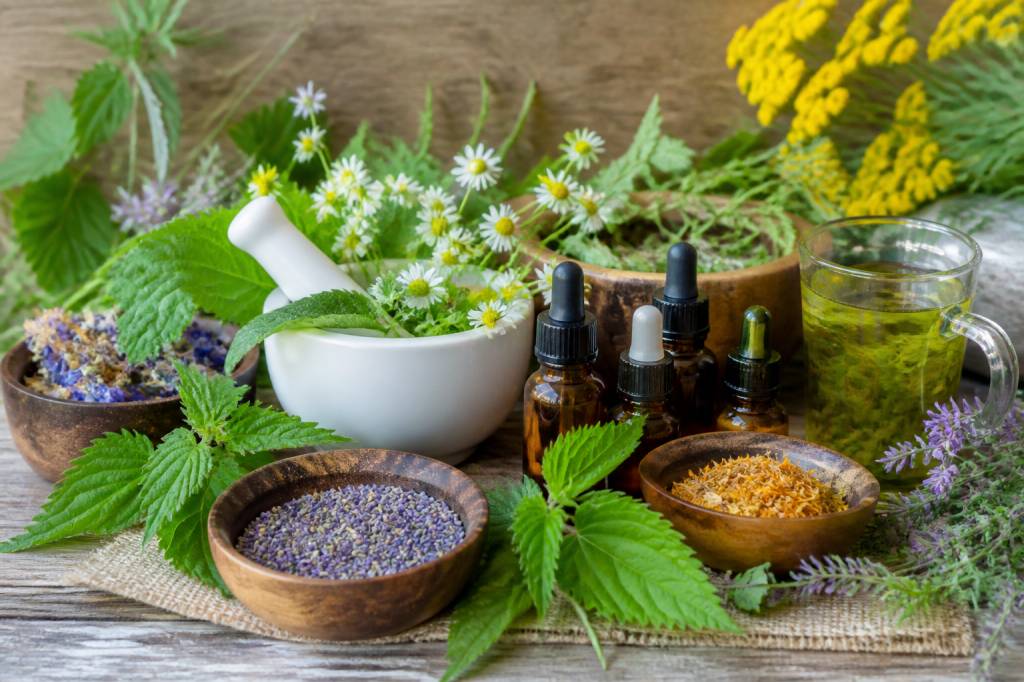 Plantes santé : bienfaits, usages et remèdes naturels