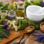 Liste des plantes médicinales et leurs vertus : guide des principales espèces