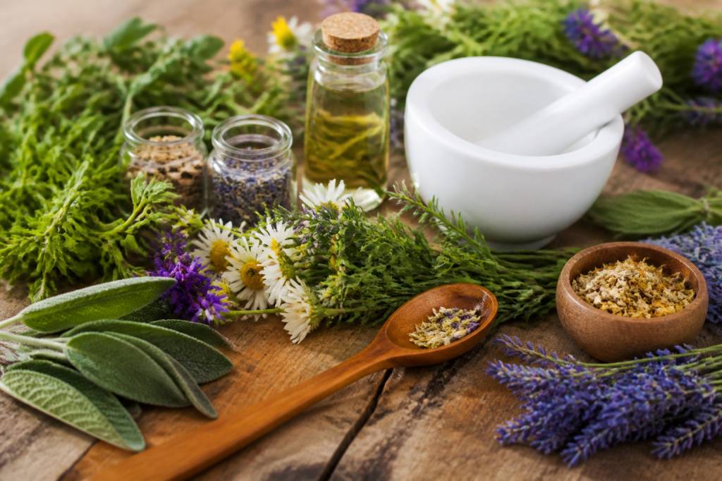 Liste des plantes médicinales et leurs vertus : guide des principales espèces