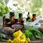 Liste des plantes medicinales avec photos : guide visuel des principales espèces et de leurs usages
