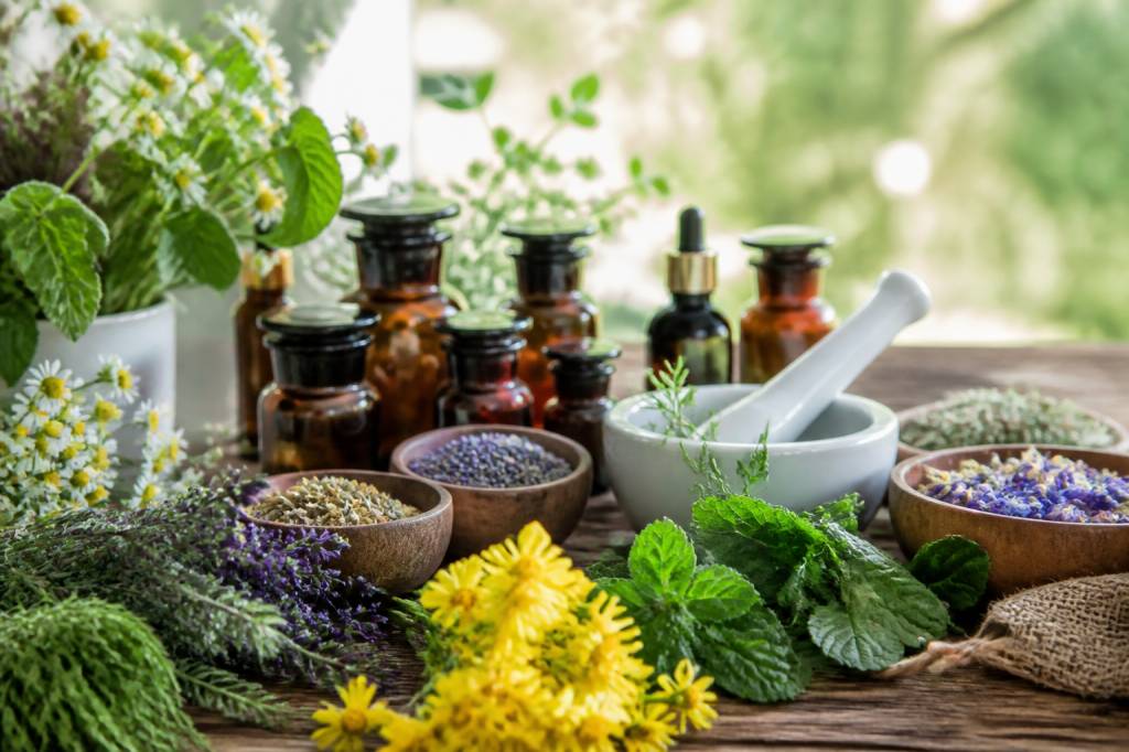Liste des plantes medicinales avec photos : guide visuel des principales espèces et de leurs usages