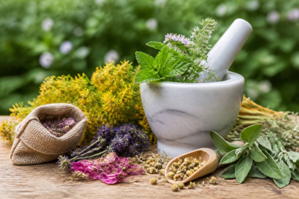 Plante qui guérit tout : mythe et plantes associées