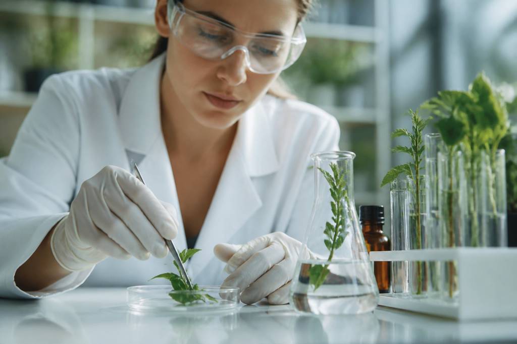 Études herboristerie : que révèle la recherche sur les plantes naturelles