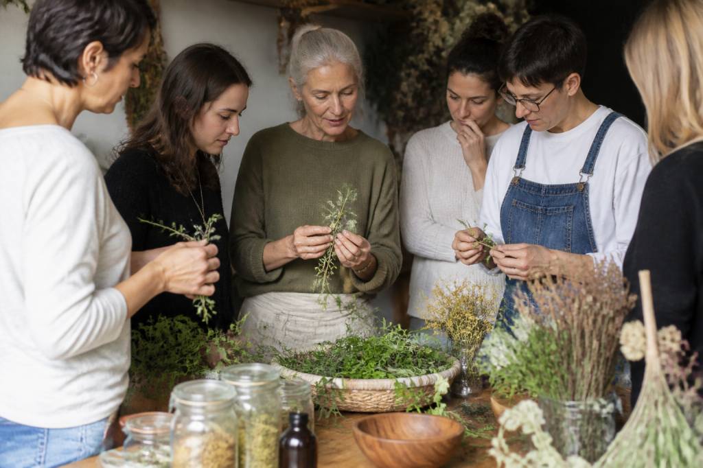 École d herboristerie : apprendre les plantes et leurs usages naturels