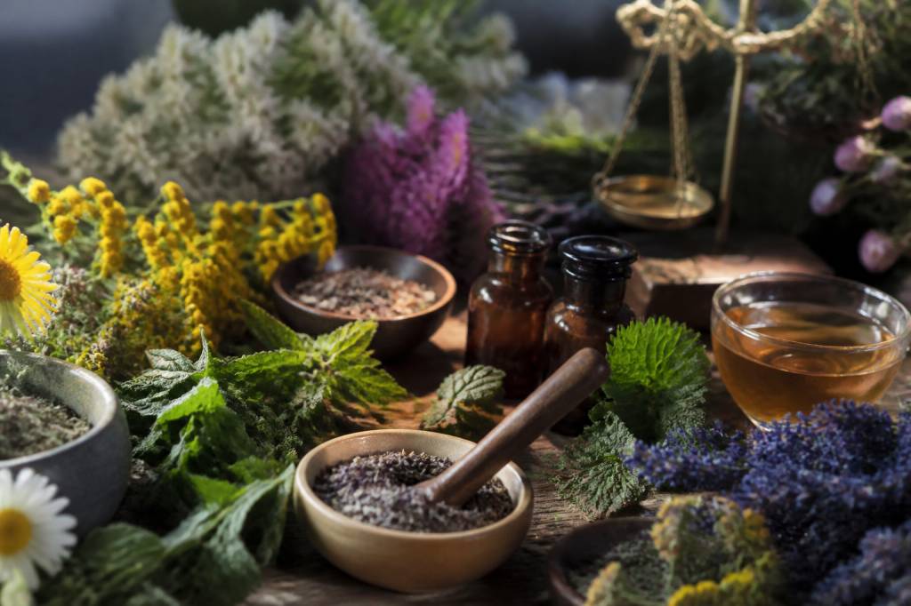 Herbe médicinale : usages, bienfaits et plantes à connaître