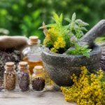 Soigner par les plante : bienfaits et usages des remèdes naturels