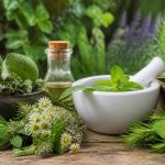 Plantes qui soignent : quels bienfaits et usages naturels connaître