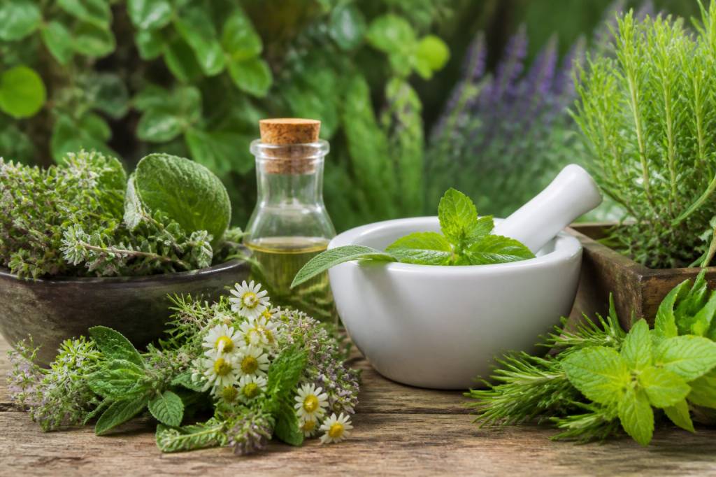 Plantes qui soignent : quels bienfaits et usages naturels connaître