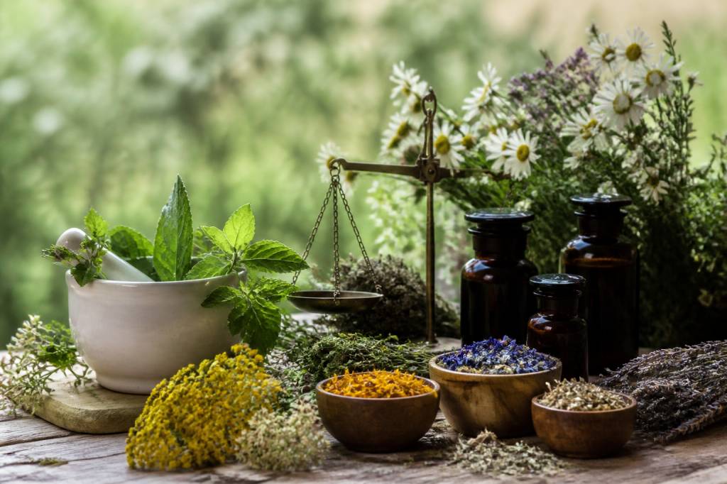 Materia medica des plantes médicinales et remèdes naturels