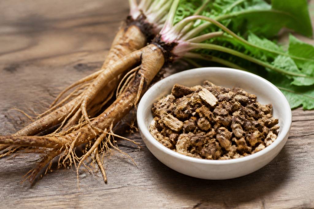 Recette racine de pissenlit : idées de préparation et usages naturels