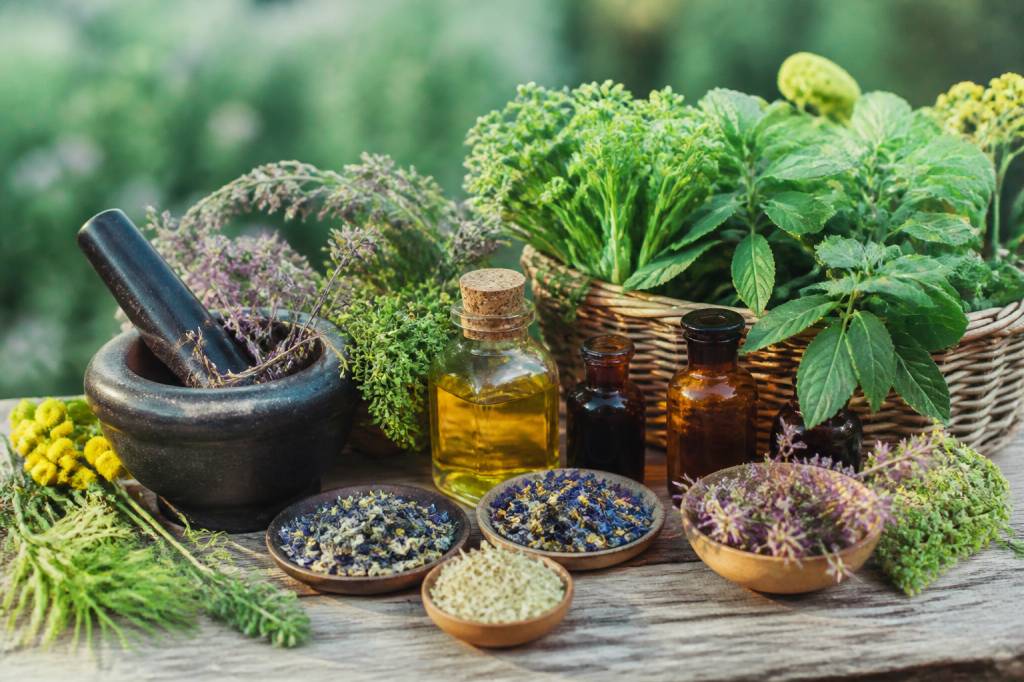 Plantes médicinales : usages, bienfaits et précautions