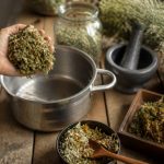 Comment faire une décoction de plantes : méthode et utilisations