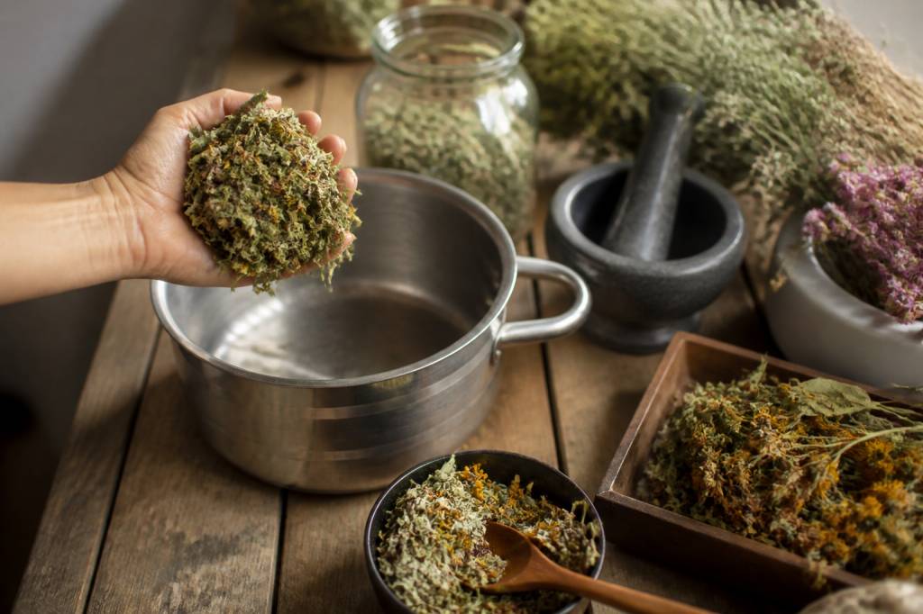 Comment faire une décoction de plantes : méthode et utilisations