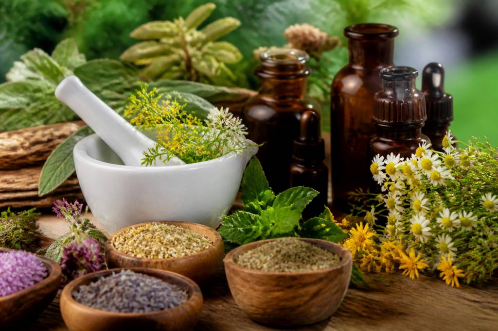 Soigner avec les plantes : bienfaits et remèdes naturels