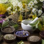Santé par les plantes : bienfaits, usages et remèdes naturels