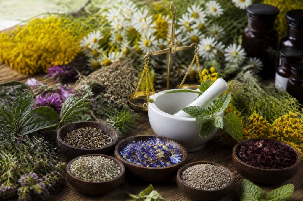 Santé par les plantes : bienfaits, usages et remèdes naturels