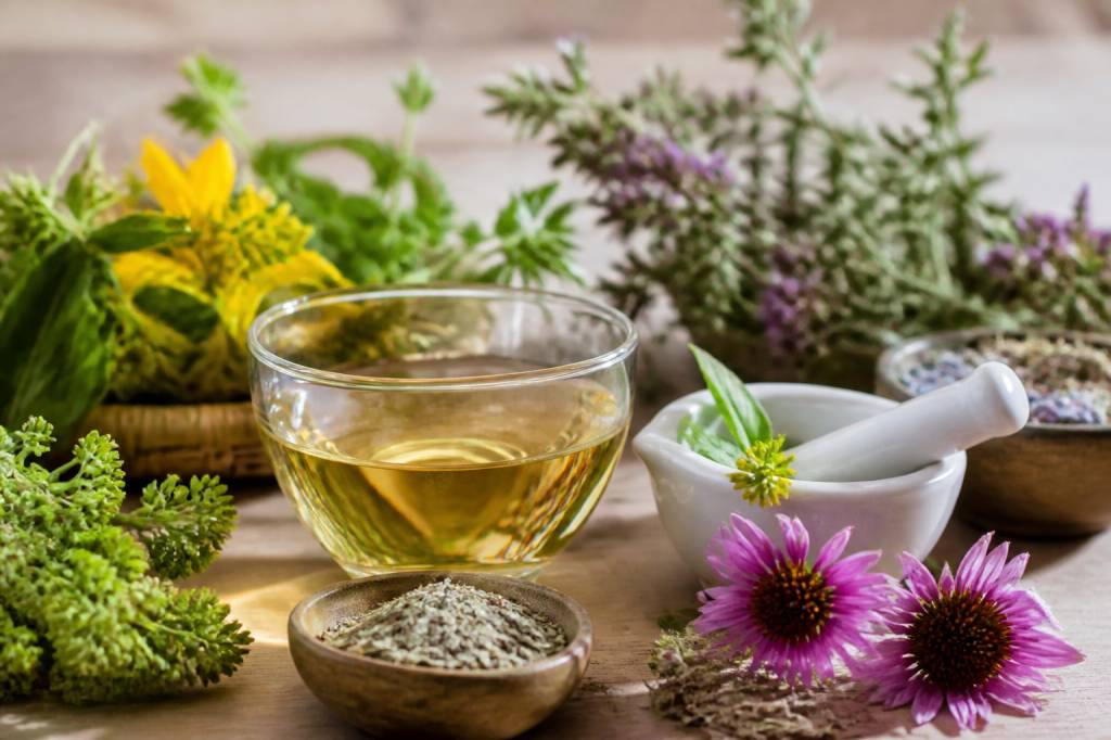 Compléments alimentaires pour les défenses immunitaires : quelles plantes privilégier ?