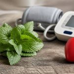 Mélisse et hypertension : quels bienfaits et précautions connaître ?