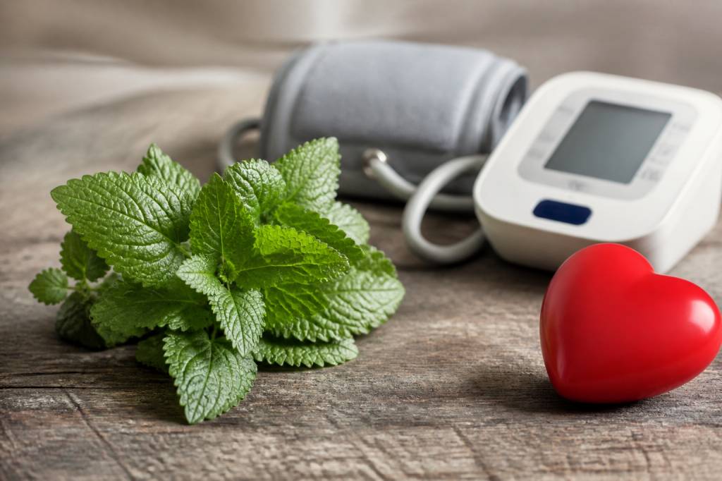 Mélisse et hypertension : quels bienfaits et précautions connaître ?