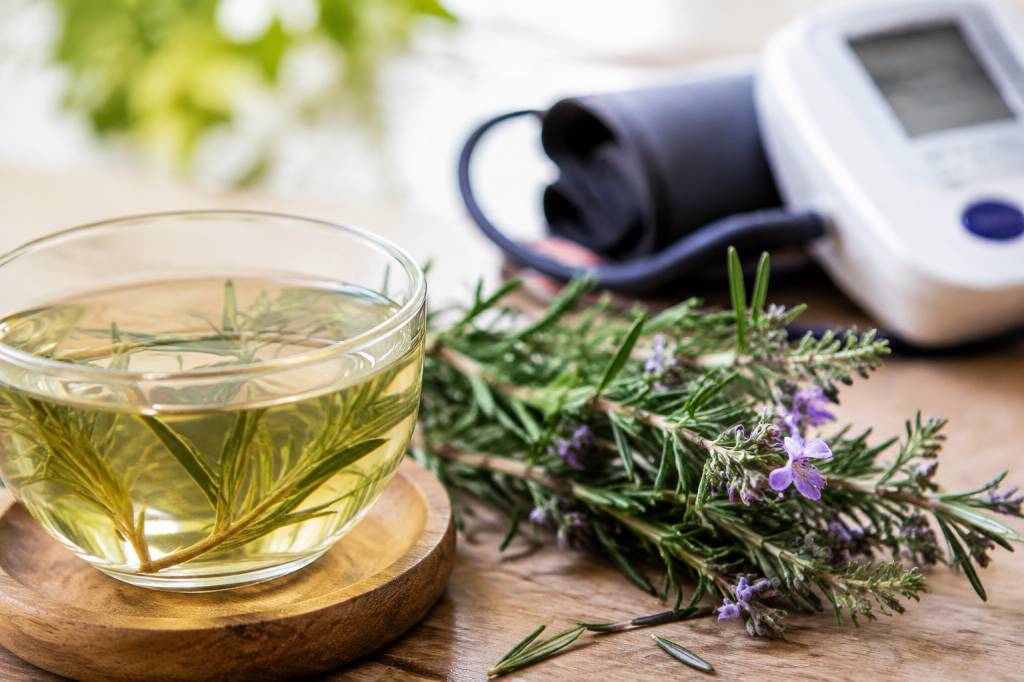 Romarin et hypertension : que savoir sur cette plante et la tension artérielle