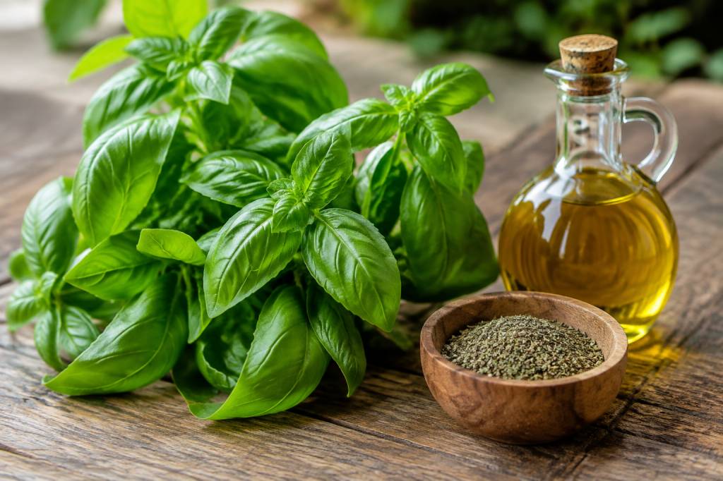 Bienfait du basilic : ses atouts et ses usages au quotidien